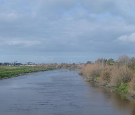 Piako river